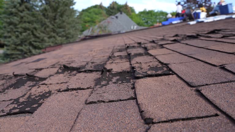 Best Emergency Roof Repair Services  in Lawrenceburg, IN